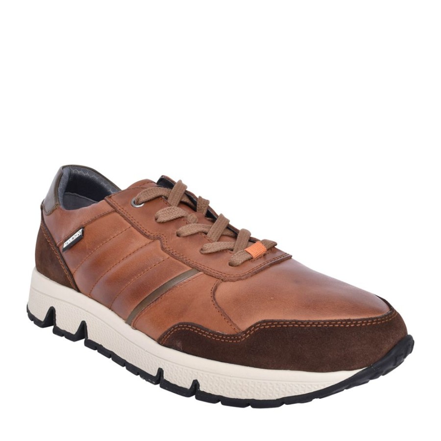 Mens PIKOLINOS | Mens Ferrol Leather Trainer In Brown