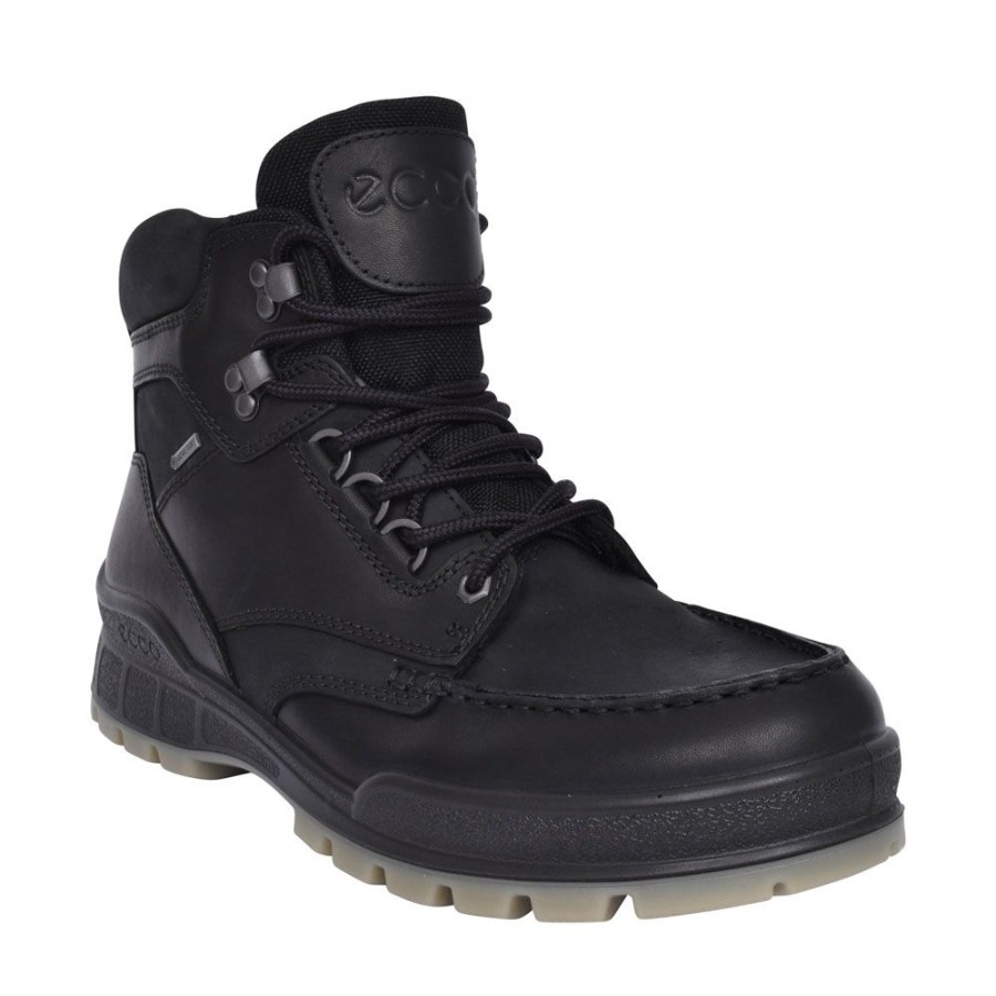 Mens ECCO | Mens 831704 Track 25 Lace Up Gore-Texboot In Black